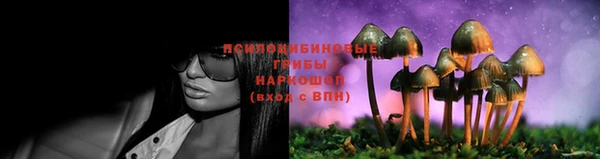 герыч Белокуриха