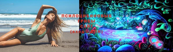 стафф Сосновоборск