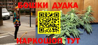 трава Сланцы