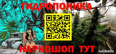 стаф Славгород
