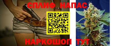 трава Сланцы