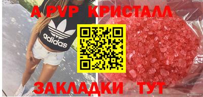 стаф Славгород