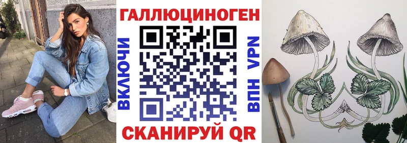 наркота  гидра   Галлюциногенные грибы мицелий  Дальнегорск 